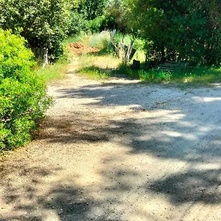 Fenouillet * Hyeres