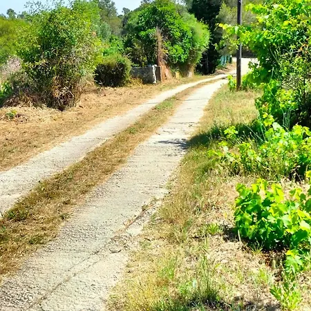 Fenouillet