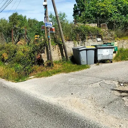 Fenouillet Hyeres